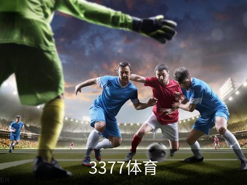 关于3377体育